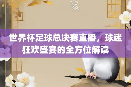 世界杯足球总决赛直播，球迷狂欢盛宴的全方位解读
