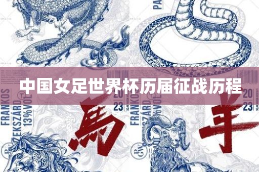 中国女足世界杯历届征战历程