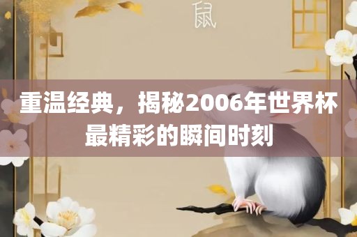 重温经典，揭秘2006年世界杯最精彩的瞬间时刻