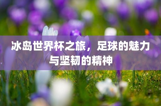 冰岛世界杯之旅，足球的魅力与坚韧的精神