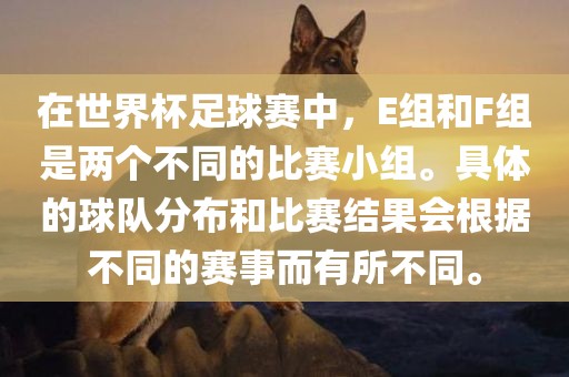 在世界杯足球赛中，E组和F组是两个不同的比赛小组。具体的球队分布和比赛结果会根据不同的赛事而有所不同。