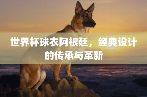 世界杯球衣阿根廷，经典设计的传承与革新