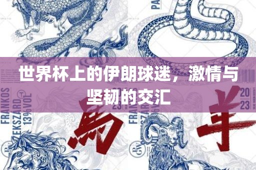 世界杯上的伊朗球迷，激情与坚韧的交汇