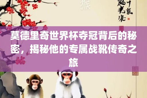 莫德里奇世界杯夺冠背后的秘密，揭秘他的专属战靴传奇之旅