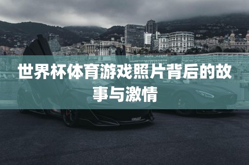 世界杯体育游戏照片背后的故事与激情
