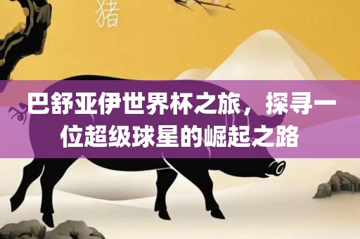 巴舒亚伊世界杯之旅，探寻一位超级球星的崛起之路