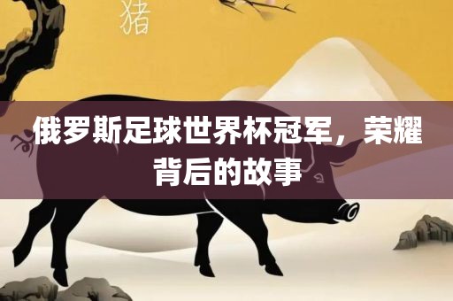 俄罗斯足球世界杯冠军，荣耀背后的故事