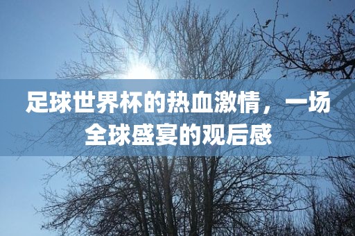 足球世界杯的热血激情，一场全球盛宴的观后感