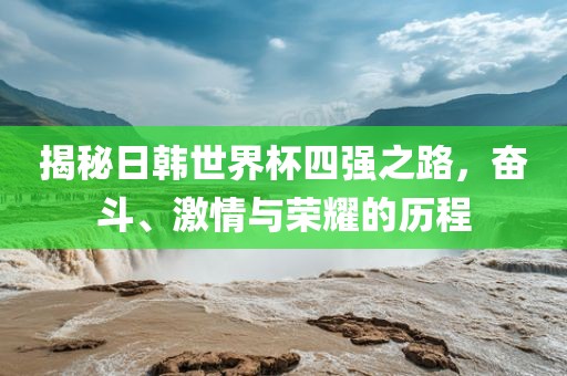 揭秘日韩世界杯四强之路，奋斗、激情与荣耀的历程