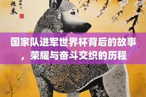 国家队进军世界杯背后的故事，荣耀与奋斗交织的历程
