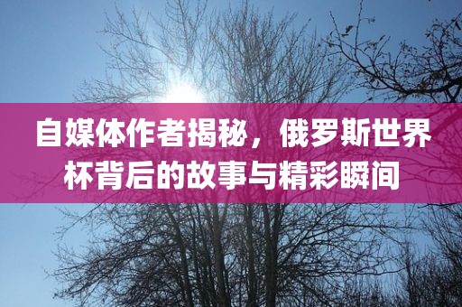 自媒体作者揭秘，俄罗斯世界杯背后的故事与精彩瞬间