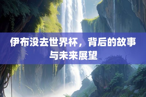 伊布没去世界杯，背后的故事与未来展望