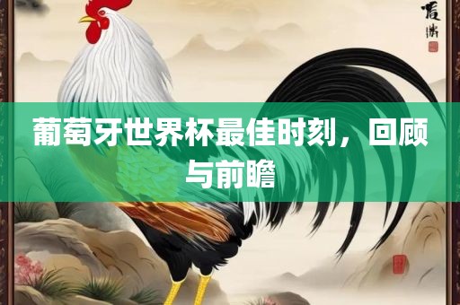 葡萄牙世界杯最佳时刻，回顾与前瞻