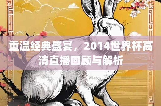 重温经典盛宴，2014世界杯高清直播回顾与解析