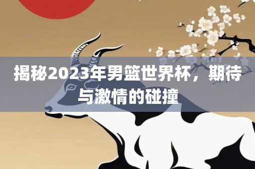 揭秘2023年男篮世界杯，期待与激情的碰撞