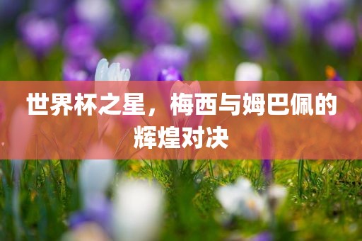 世界杯之星，梅西与姆巴佩的辉煌对决