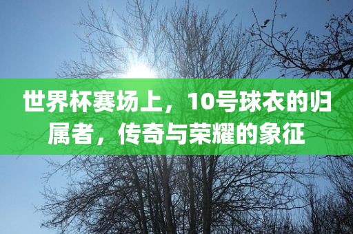 世界杯赛场上，10号球衣的归属者，传奇与荣耀的象征