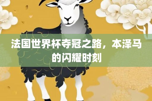 法国世界杯夺冠之路，本泽马的闪耀时刻