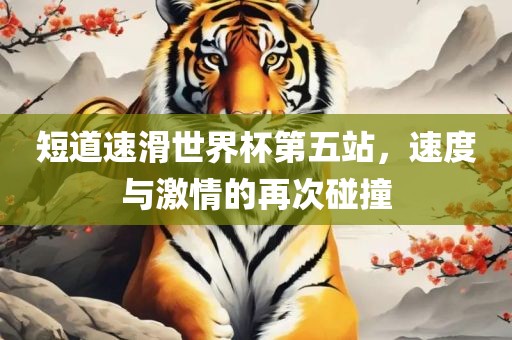 短道速滑世界杯第五站，速度与激情的再次碰撞