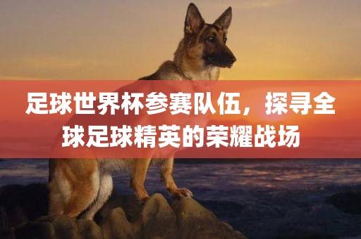 足球世界杯参赛队伍，探寻全球足球精英的荣耀战场