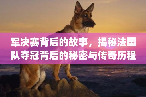 军决赛背后的故事，揭秘法国队夺冠背后的秘密与传奇历程