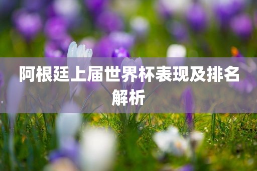 阿根廷上届世界杯表现及排名解析