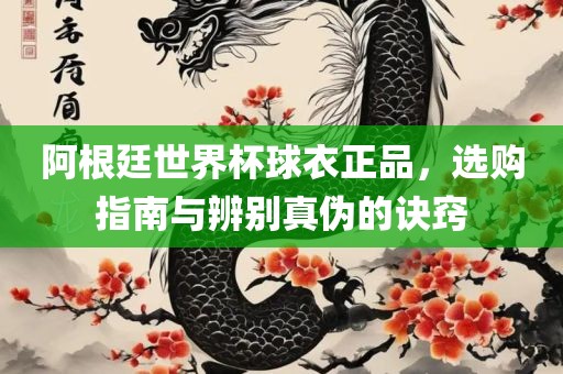 阿根廷世界杯球衣正品，选购指南与辨别真伪的诀窍