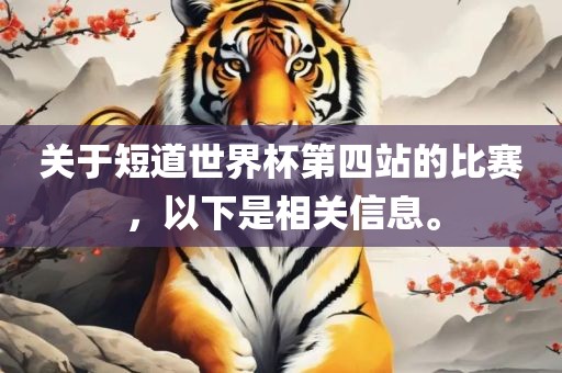 关于短道世界杯第四站的比赛，以下是相关信息。