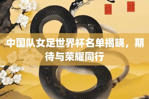 中国队女足世界杯名单揭晓，期待与荣耀同行