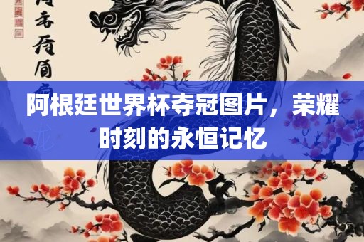阿根廷世界杯夺冠图片，荣耀时刻的永恒记忆