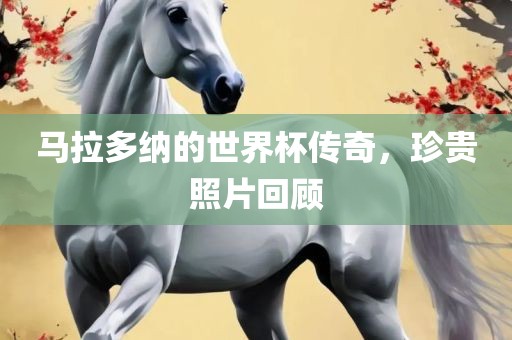 马拉多纳的世界杯传奇，珍贵照片回顾