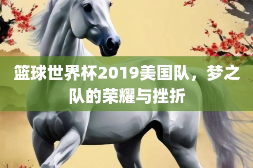 篮球世界杯2019美国队，梦之队的荣耀与挫折