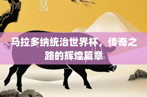 马拉多纳统治世界杯，传奇之路的辉煌篇章