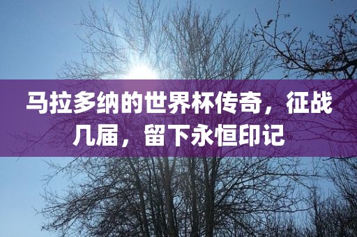 马拉多纳的世界杯传奇，征战几届，留下永恒印记