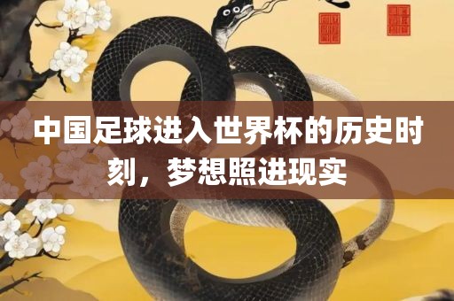 中国足球进入世界杯的历史时刻，梦想照进现实