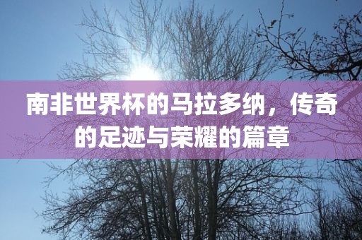 南非世界杯的马拉多纳，传奇的足迹与荣耀的篇章