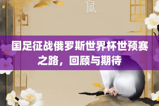 国足征战俄罗斯世界杯世预赛之路，回顾与期待