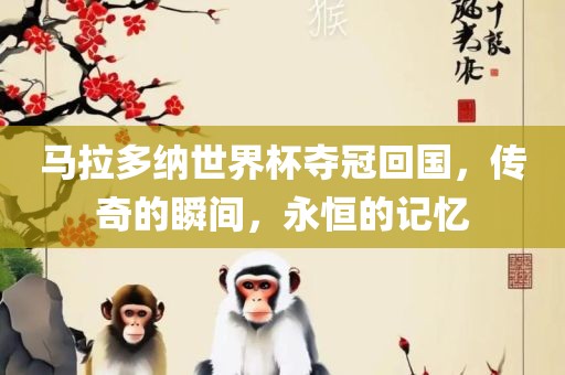 马拉多纳世界杯夺冠回国，传奇的瞬间，永恒的记忆