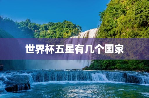 世界杯五星有几个国家