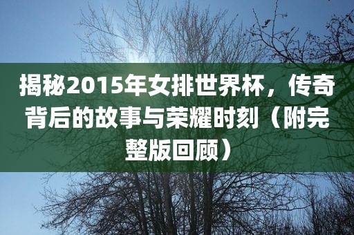 揭秘2015年女排世界杯，传奇背后的故事与荣耀时刻（附完整版回顾）