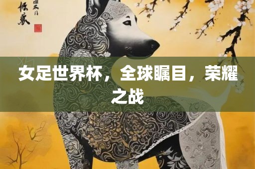 女足世界杯，全球瞩目，荣耀之战