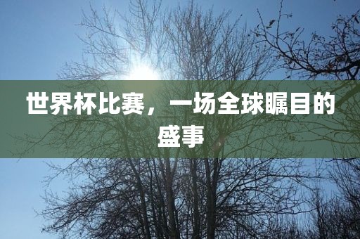 世界杯比赛，一场全球瞩目的盛事