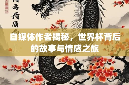 自媒体作者揭秘，世界杯背后的故事与情感之旅