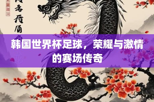 韩国世界杯足球，荣耀与激情的赛场传奇