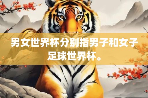 男女世界杯分别指男子和女子足球世界杯。