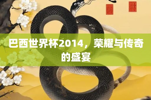 巴西世界杯2014，荣耀与传奇的盛宴