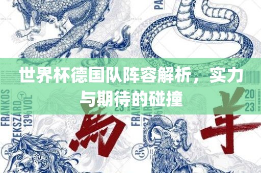 世界杯德国队阵容解析，实力与期待的碰撞