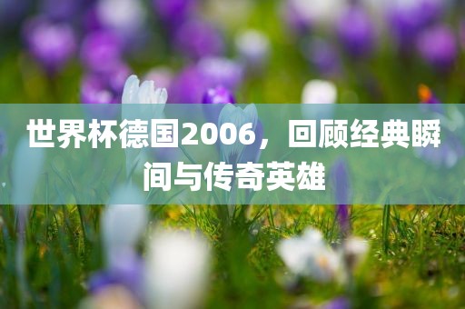 世界杯德国2006，回顾经典瞬间与传奇英雄