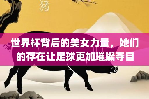世界杯背后的美女力量，她们的存在让足球更加璀璨夺目
