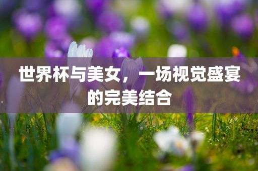 世界杯与美女，一场视觉盛宴的完美结合